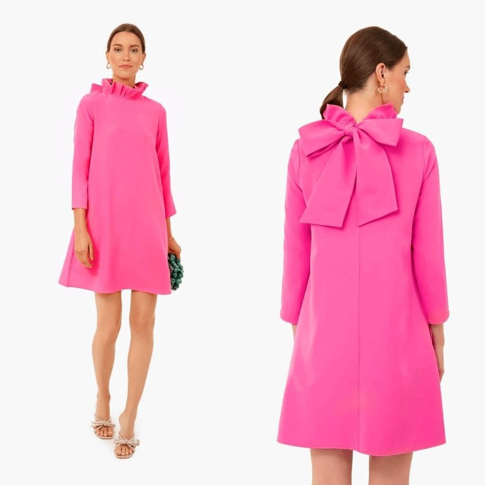 Tuckernuck Hot Pink Daphne Dress Size XXL
